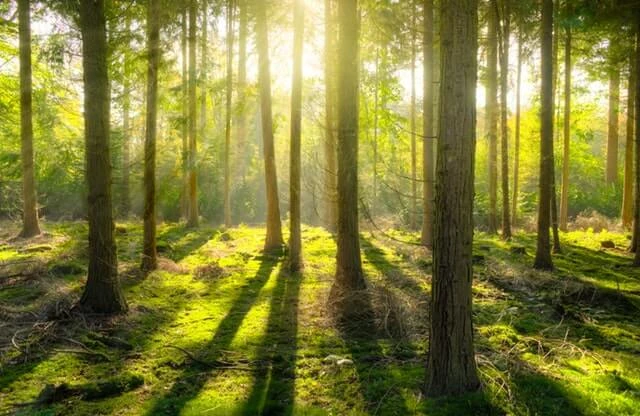 Manso Camping leirintä- ja tapahtumakeskus